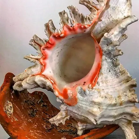 아파트 Duplex Castle Sao Jorge *