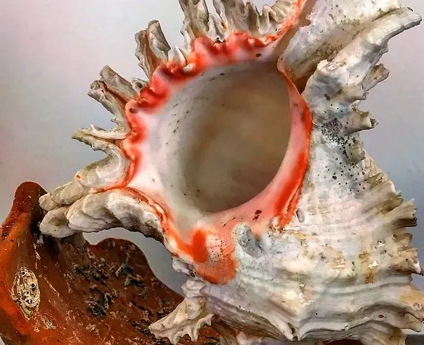 Apartment Duplex Lisbon Castle Sao Jorge *